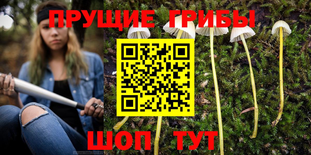 Мытищи  Псилоцибиновые грибы GOLDEN TEACHER  Вход с VPN 