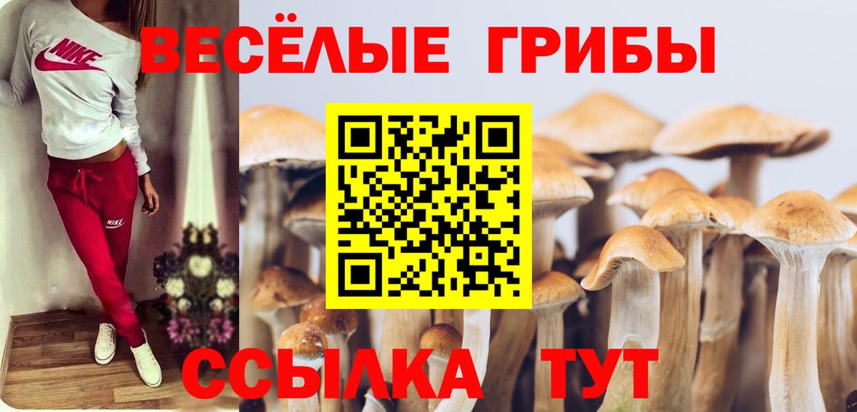 Галлюциногенные грибы Psilocybe Мытищи